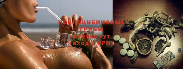 ECSTASY Белая Холуница