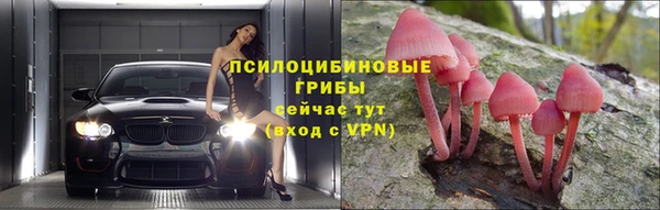 прущая мука Бежецк