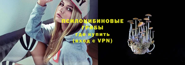 ECSTASY Белая Холуница